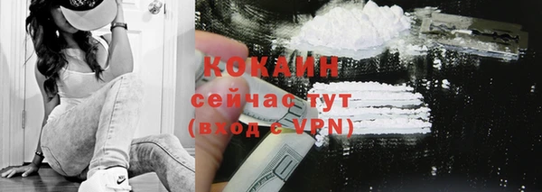 гашик Бородино