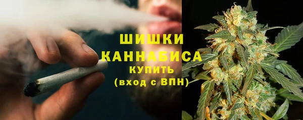 сатива Бронницы