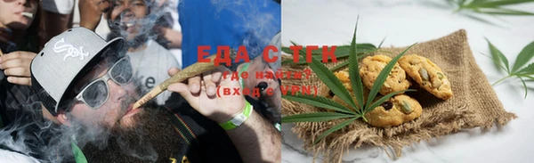 гашик Бородино