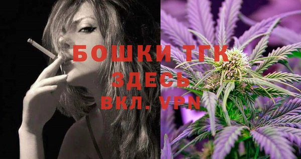 сатива Бронницы