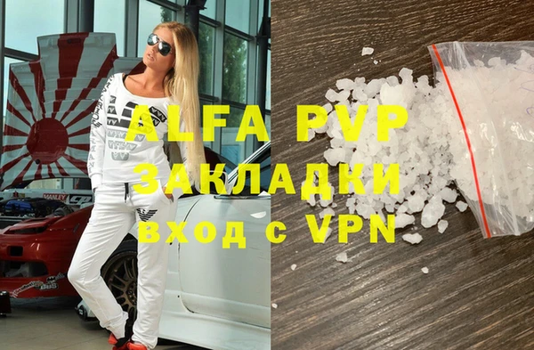 гашик Бородино