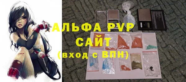 сатива Бронницы
