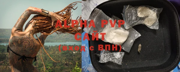 гашик Бородино