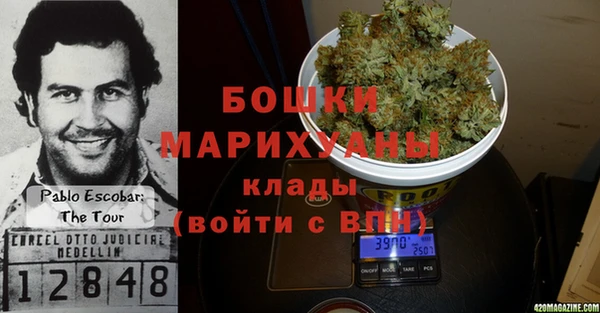 сатива Бронницы