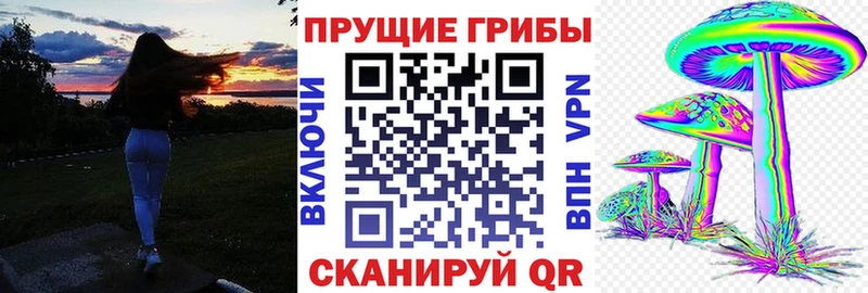 Галлюциногенные грибы Cubensis  Вятские Поляны 