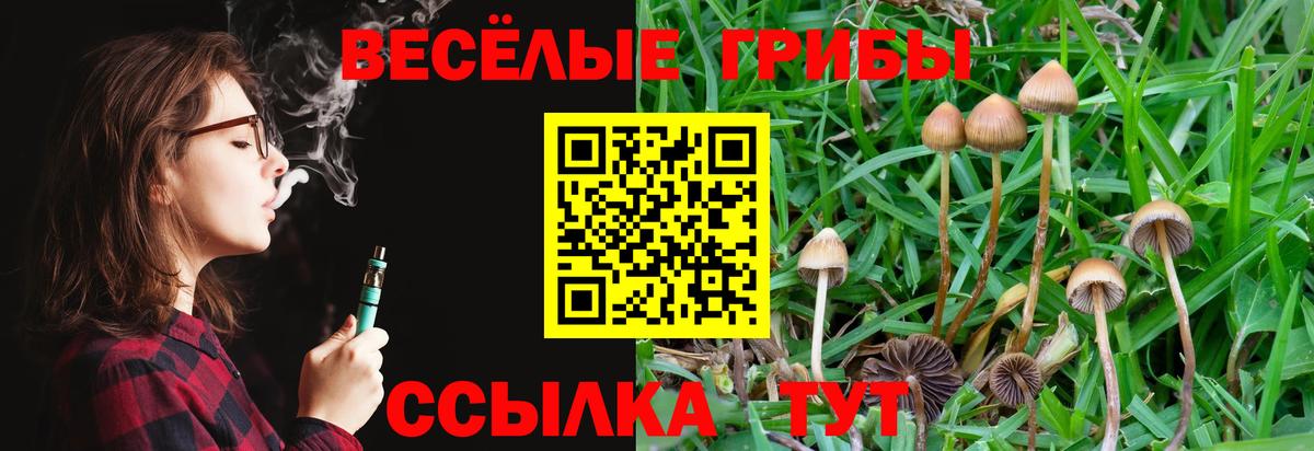 наркотики  Псилоцибиновые грибы мухоморы  Псилоцибиновые грибы Psilocybe  Вход с VPN  Вятские Поляны 